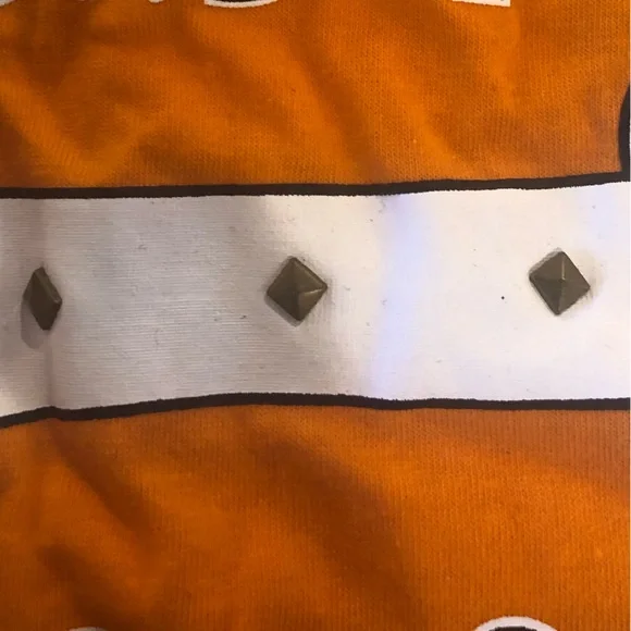 Bad to the Bone - Halloween Dog Costume - Picture 6 of 6